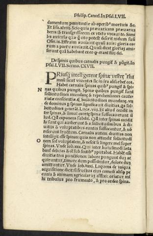 CCXXIII v