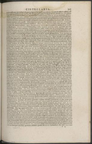 307