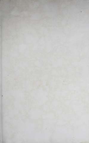 205