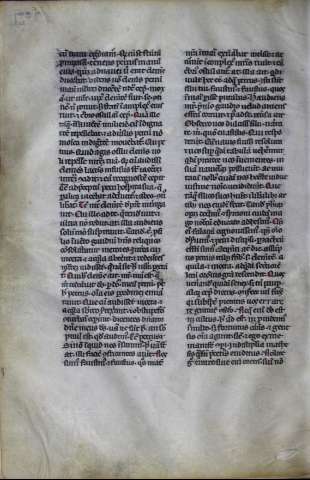 592