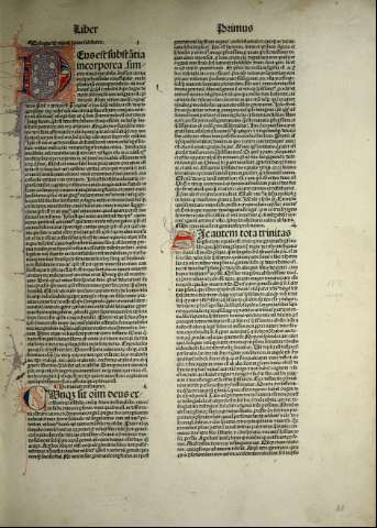 43