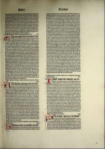 81