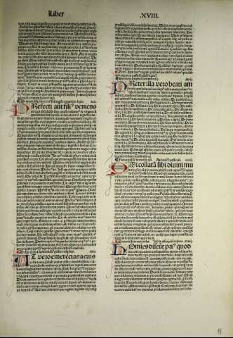 481