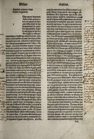 Libro VI