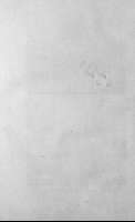 254