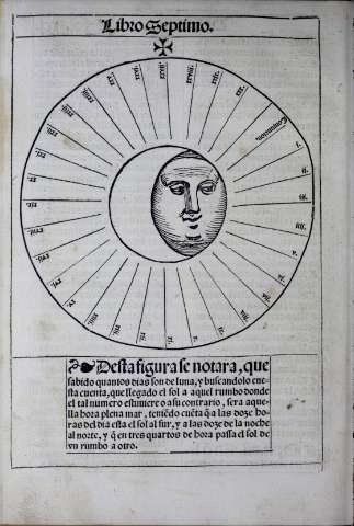204